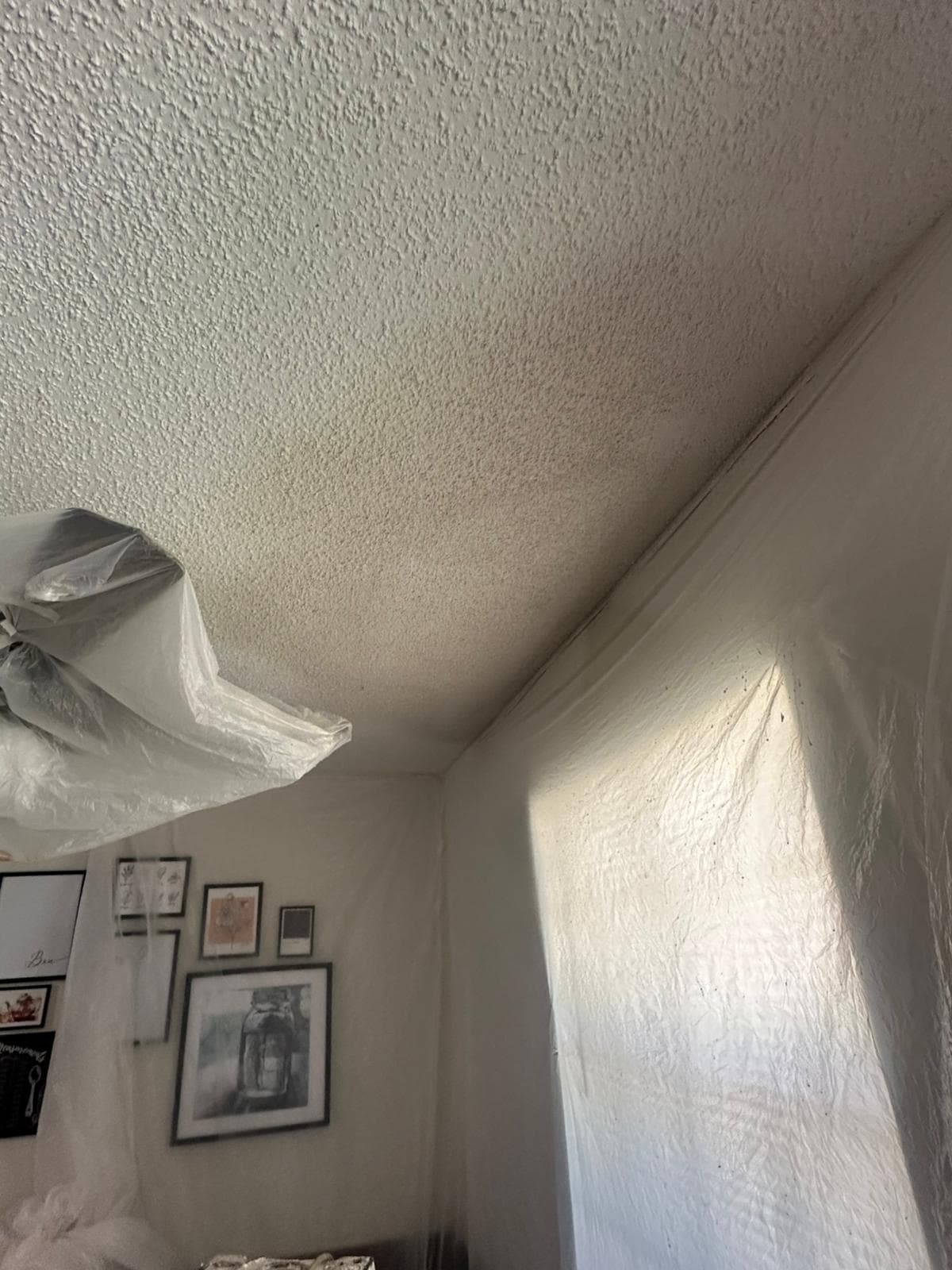 Water Damage Repair